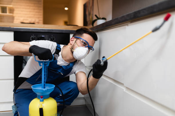 Best Affordable Pest Control Services  in Hidden Valley Lake, CA