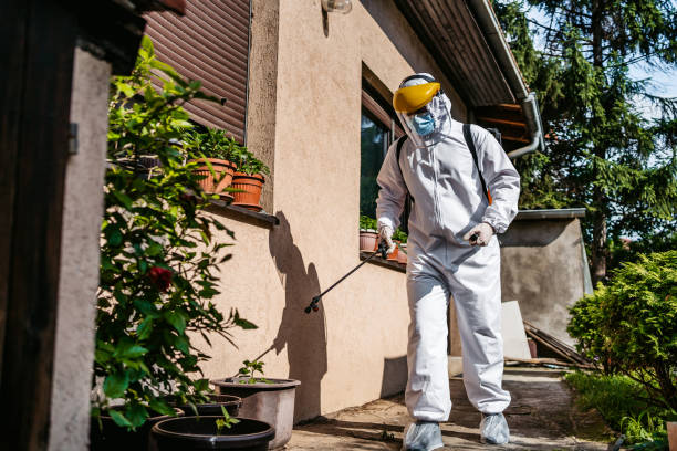Best Cockroach Control Services  in Hidden Valley Lake, CA