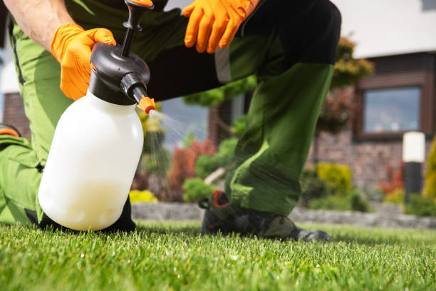 Best Residential Pest Control  in Hidden Valley Lake, CA