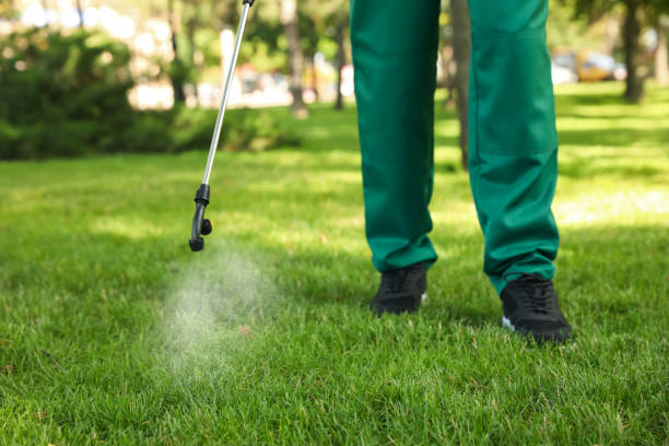 Best Local Pest Control Services  in Hidden Valley Lake, CA