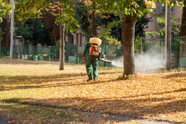 Best Insect Control  in Hidden Valley Lake, CA