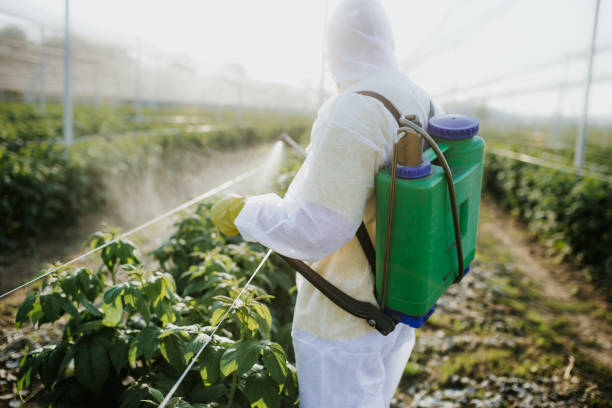 Best Ant Control Services  in Hidden Valley Lake, CA